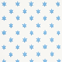 Hobe Erwin for Schumacher: Astral 5013141 Blue