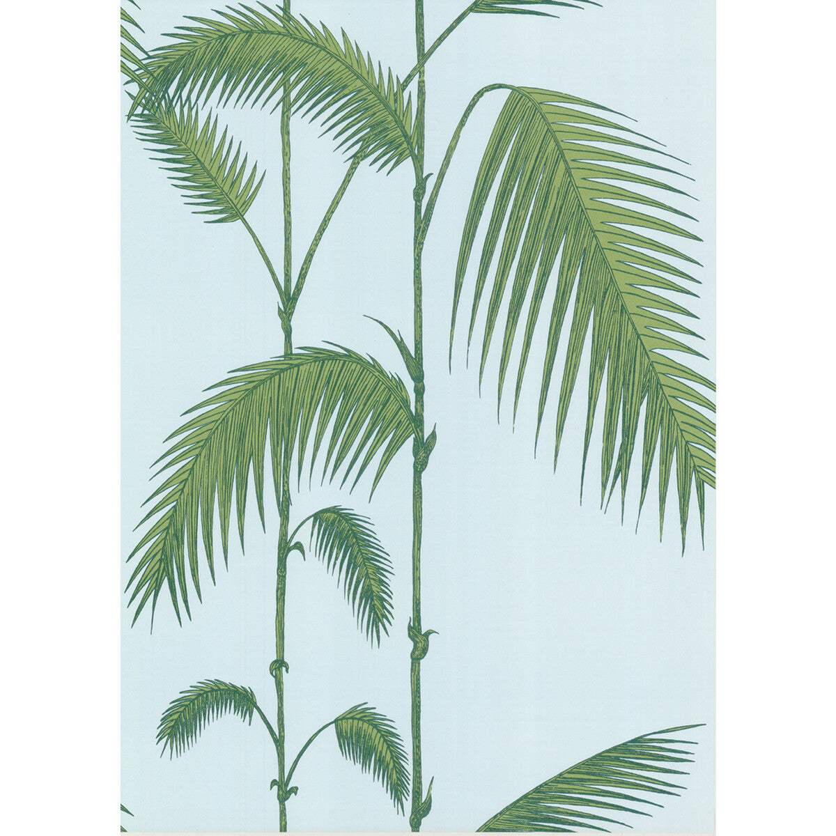 COLE & SON PALM LEAVES PALE BL