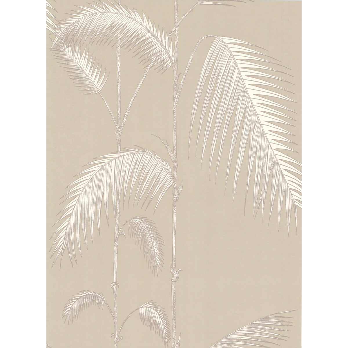 COLE & SON PALM LEAVES TAUPE/W