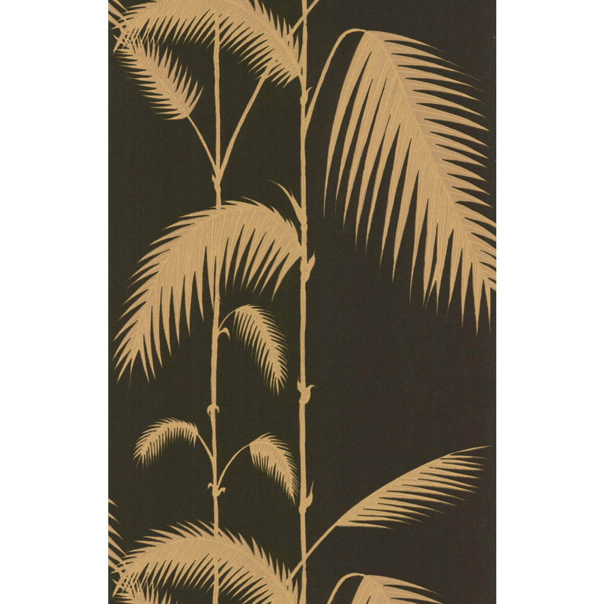 COLE & SON PALM LEAVES BLACK/T