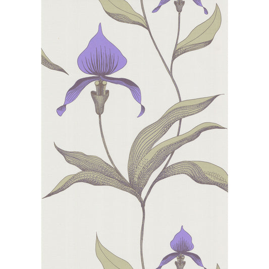 COLE & SON ORCHID WHITE/M