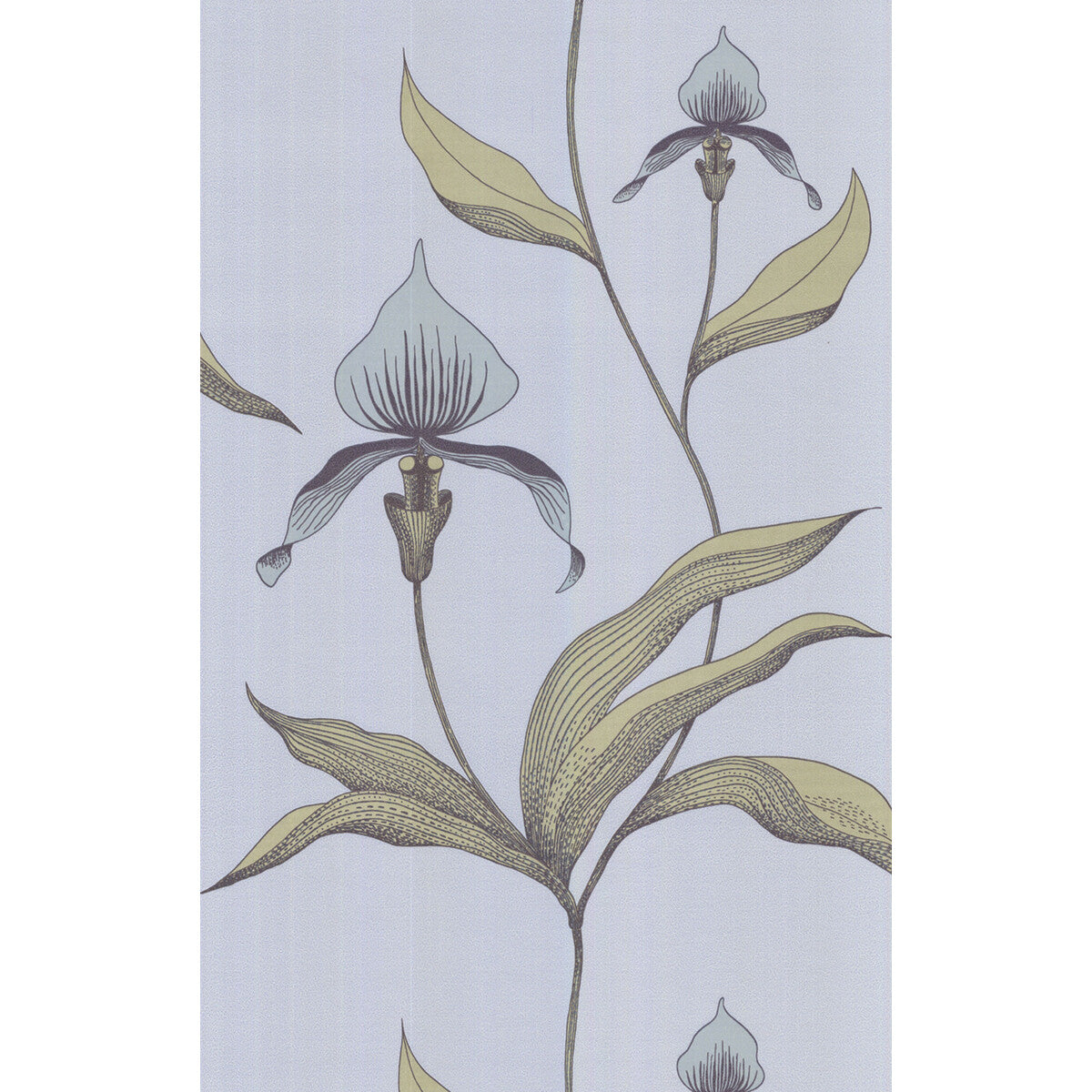 COLE & SON ORCHID BLUE GR