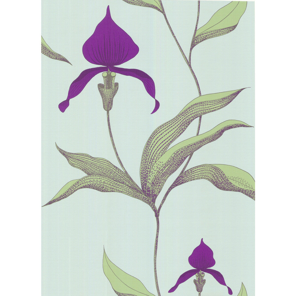 COLE & SON ORCHID TURQUOI