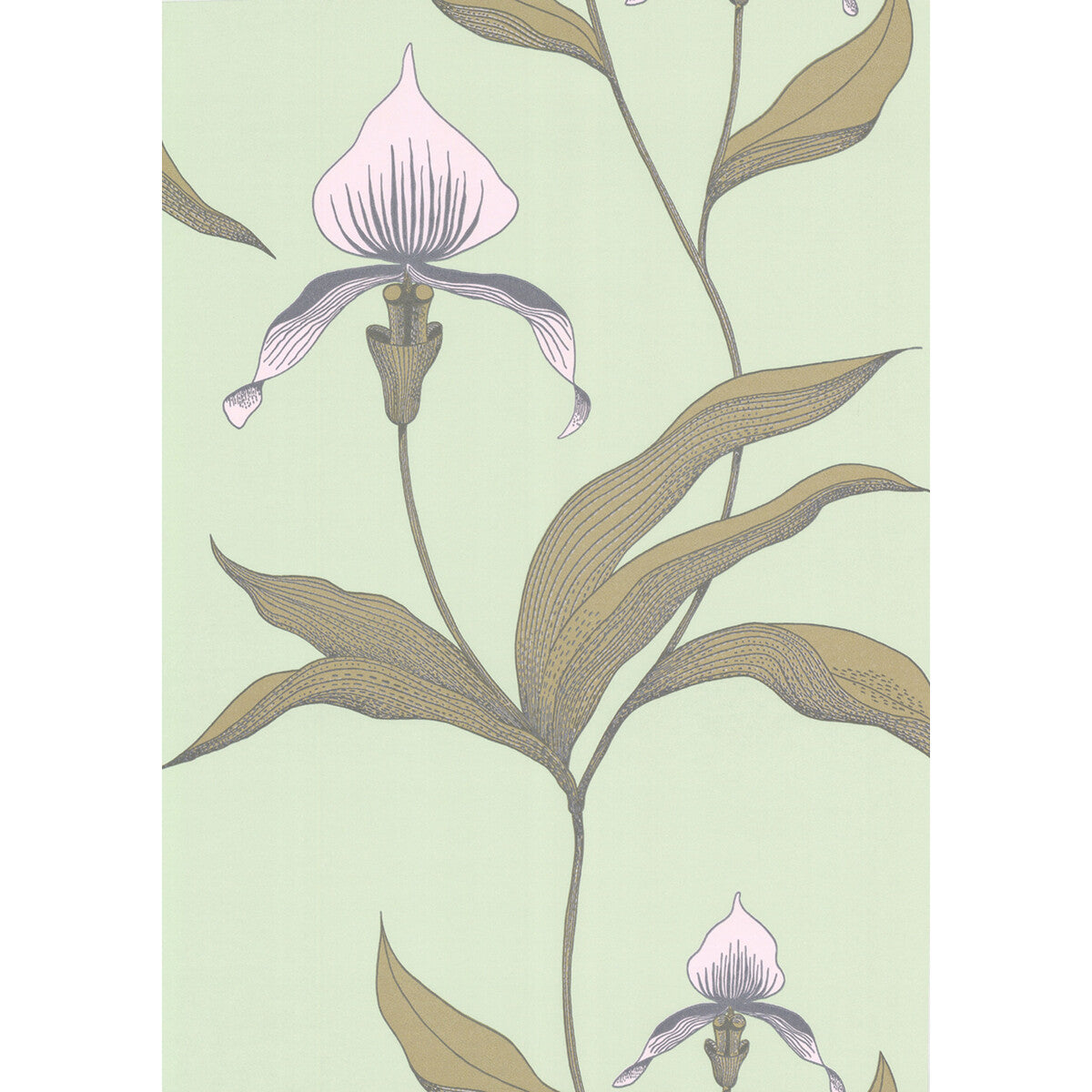 COLE & SON ORCHID PALE GR
