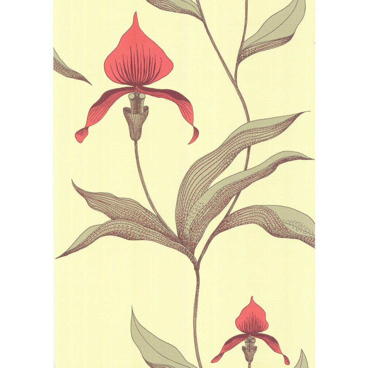 COLE & SON ORCHID LIME/OR