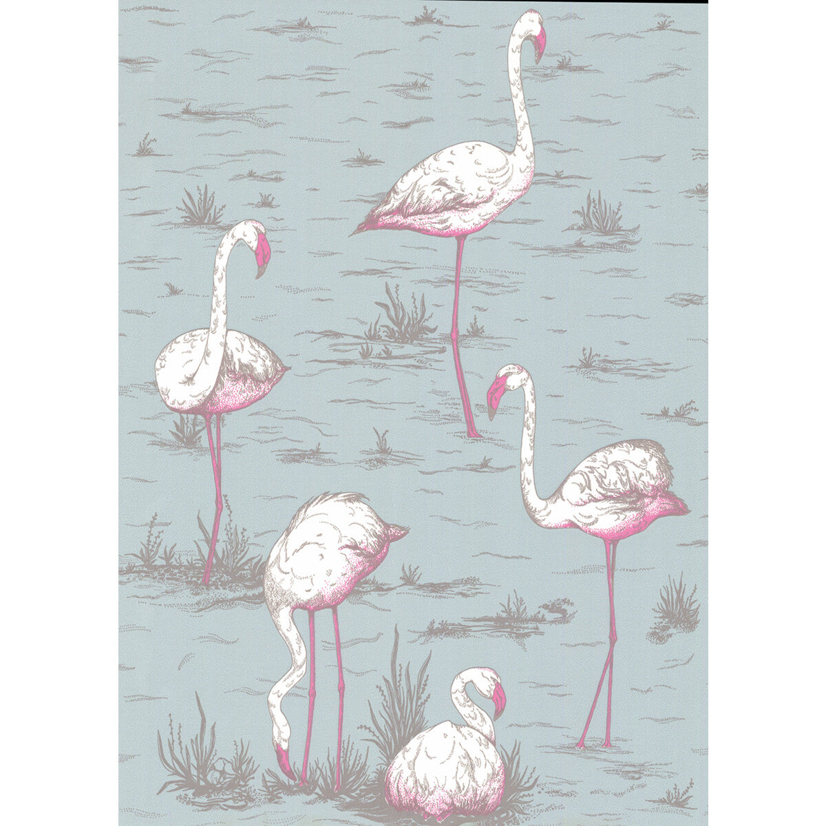 COLE & SON FLAMINGOS OALE BL