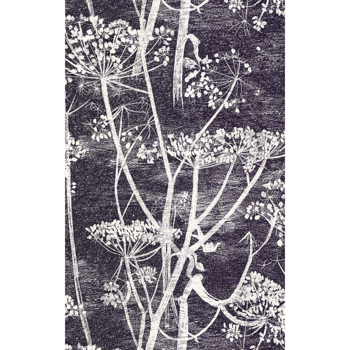 COLE & SON COW PARSLEY WHITE/BLK