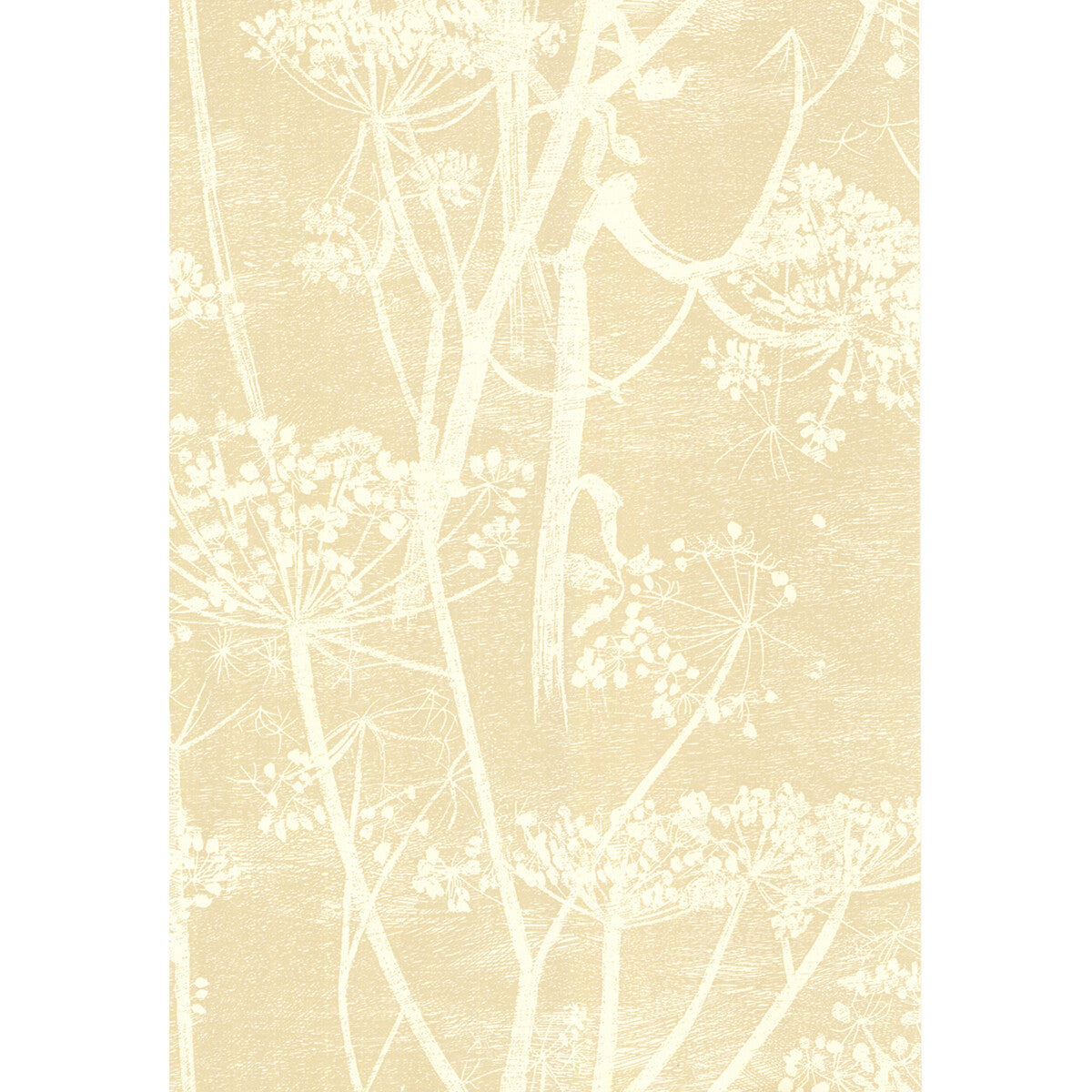 COLE & SON COW PARSLEY WHITE/BGE