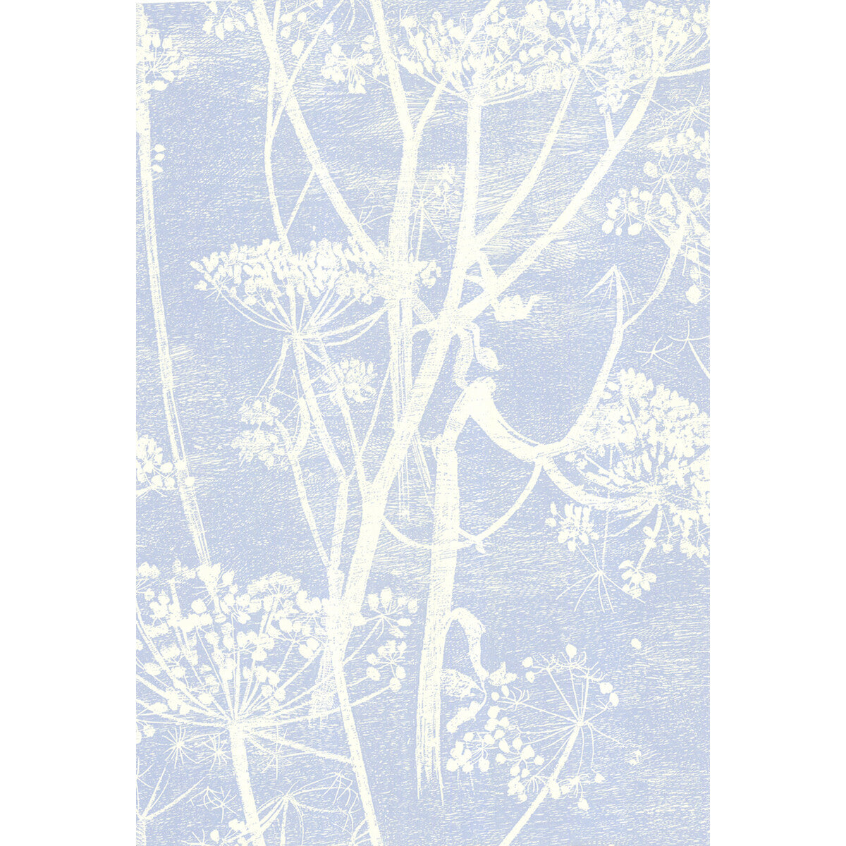 COLE & SON COW PARSLEY WHITE/BLU