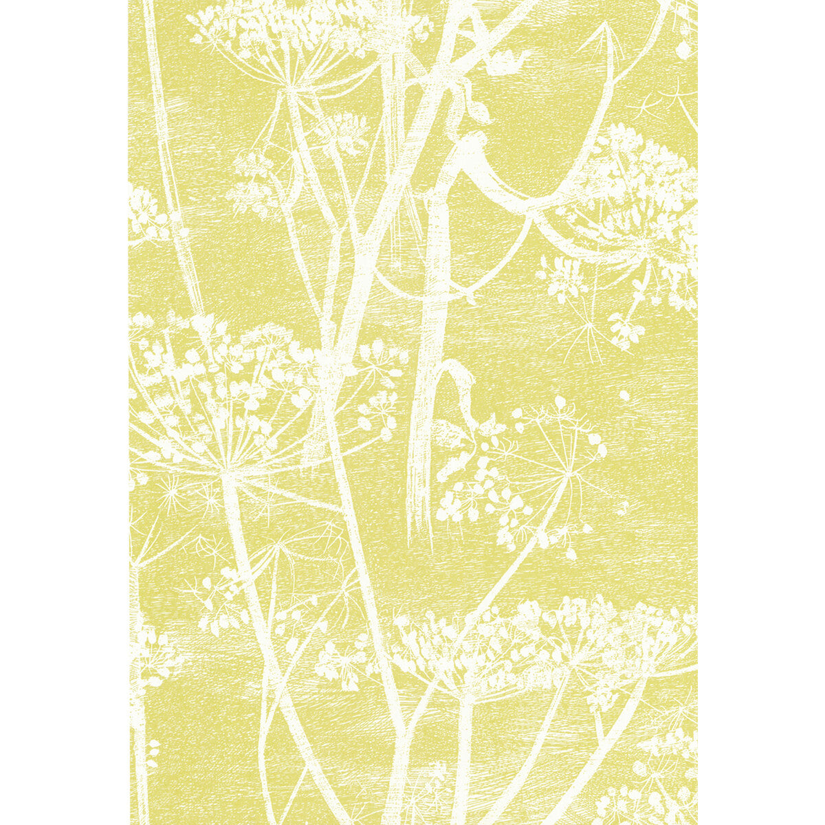 COLE & SON COW PARSLEY WHITE/Y