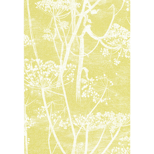 COLE & SON COW PARSLEY WHITE/Y