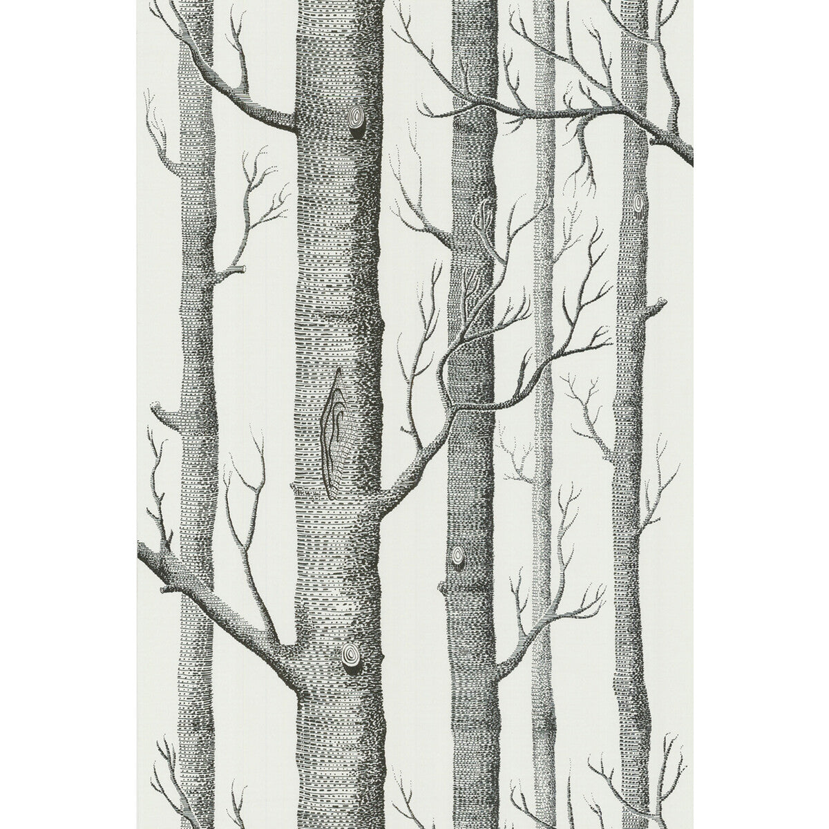 COLE & SON WOODS ONYX/WHITE