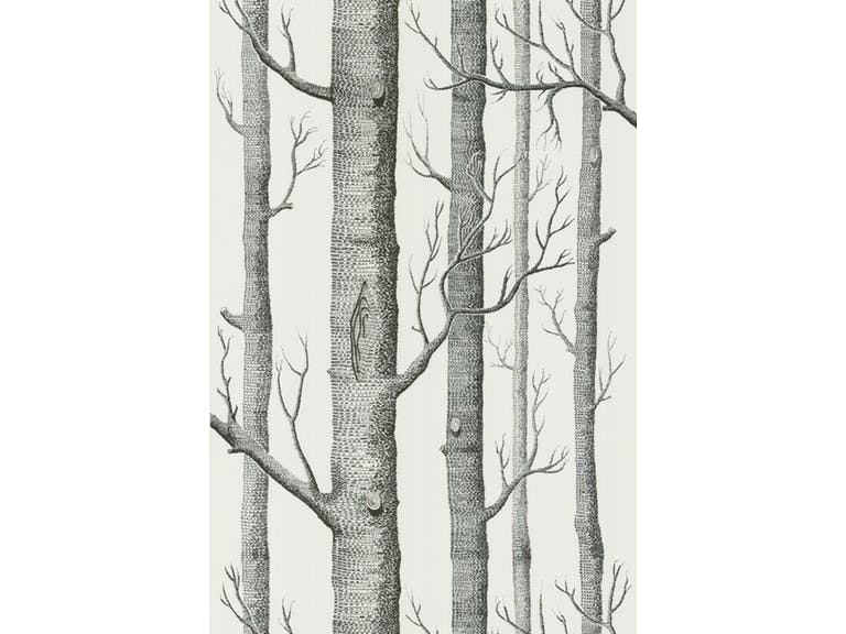 Cole & Son WP: New Contemporary Two Woods 69/12147.CS.0 Onyx/White