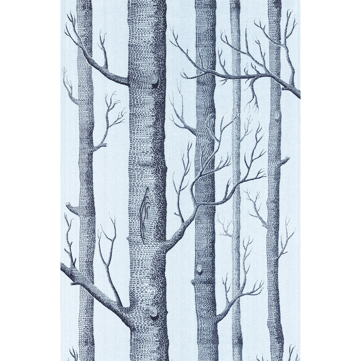COLE & SON WOODS CHOC/SILVER