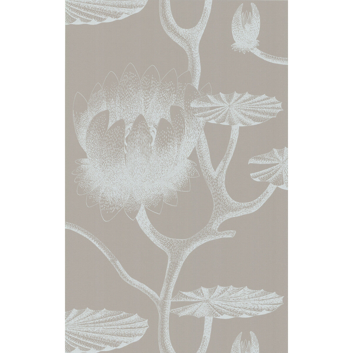 COLE & SON LILY WHITE/GREY