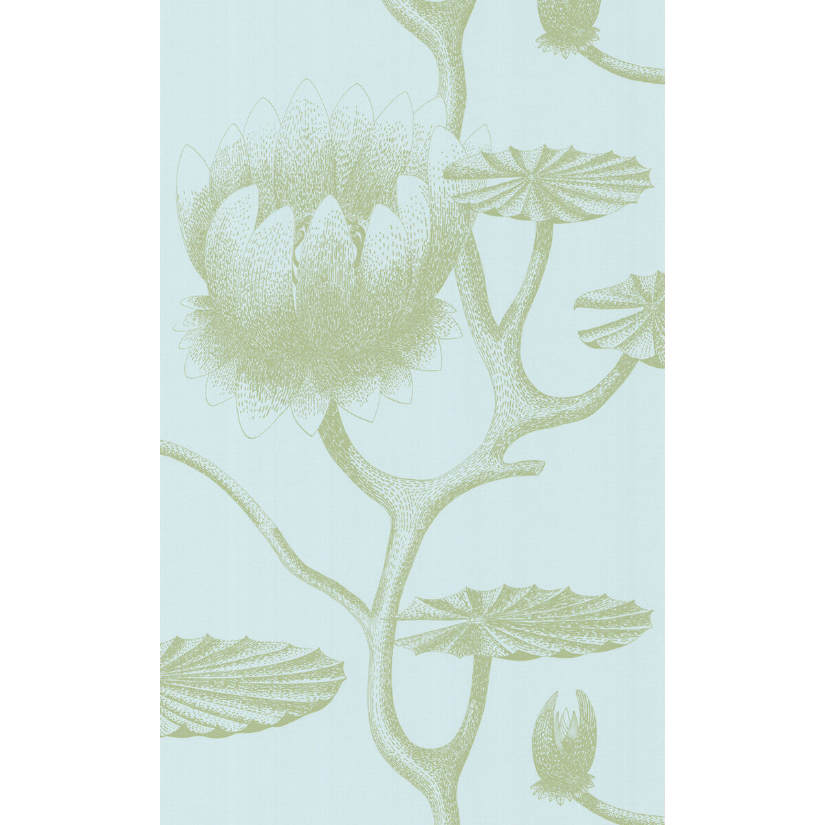 COLE & SON LILY SAGE/PALE BLUE
