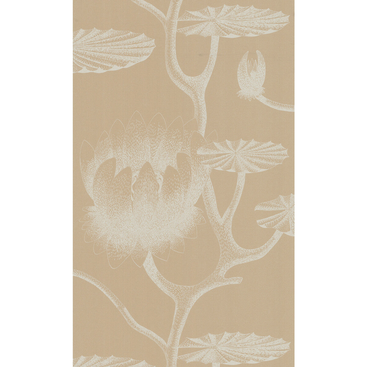 COLE & SON LILY IVORY/SAND