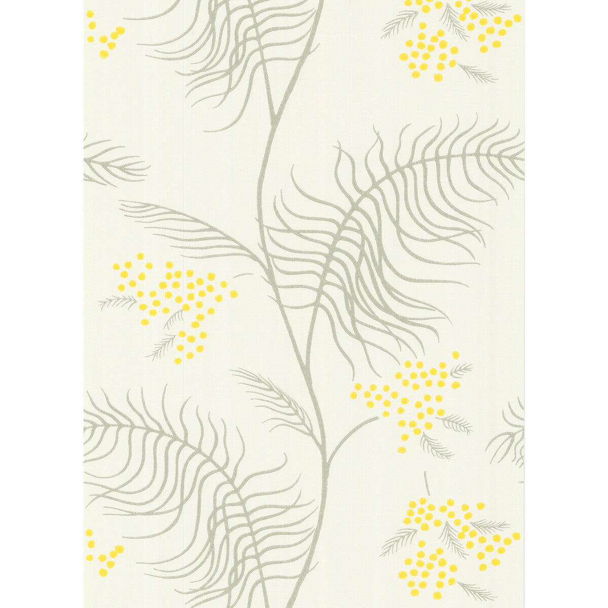 COLE & SON MIMOSA WHITE