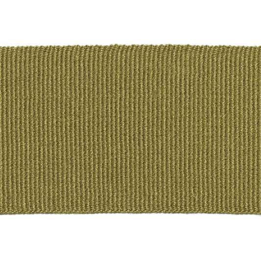 Duralee: Pavilion Indoor/Outdoor Trim 7319-343 Cactus