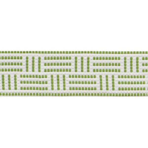 Schumacher: Brickell Tape Indoor/Outdoor 75961 Leaf