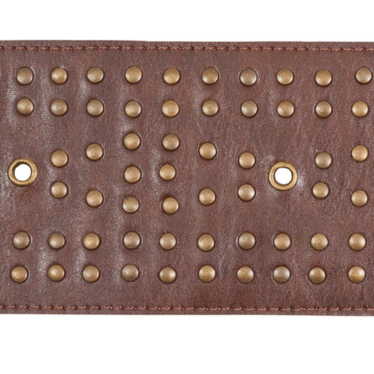 Schumacher: Studded Leather Trim 76091 Brown
