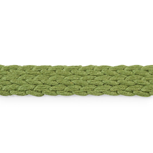 Schumacher: Braided Linen Tape 76281 Leaf