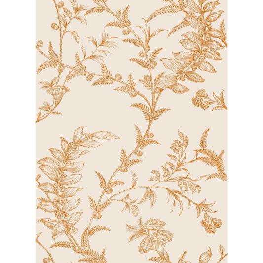 COLE & SON LUDLOW PEACH