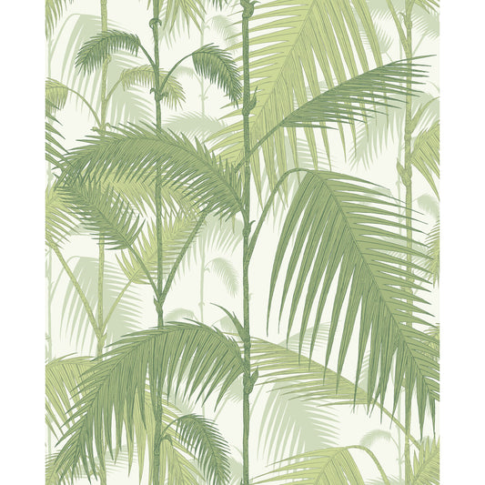 COLE & SON PALM JUNGLE OLIVE GRE/WHITE