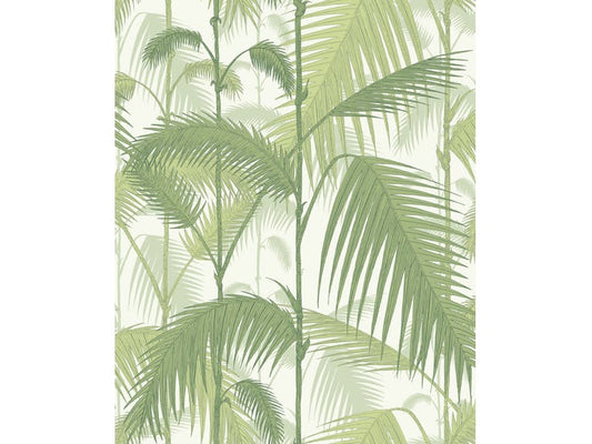 Cole & Son WP: Contemporary Restyled Palm Jungle 95/1001.CS.0 Olive, Green & White