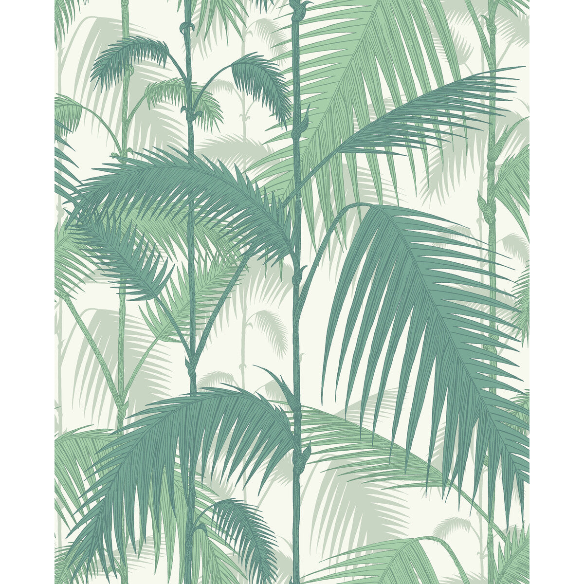 COLE & SON PALM JUNGLE FOREST GRE/W
