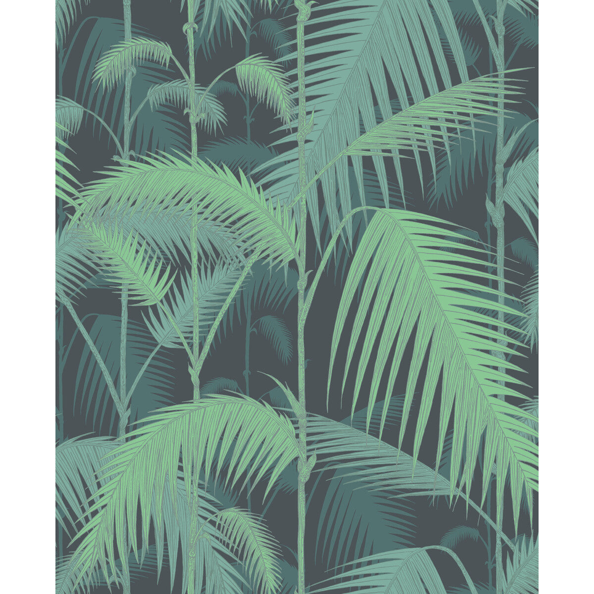 COLE & SON PALM JUNGLE GREEN/BLACK