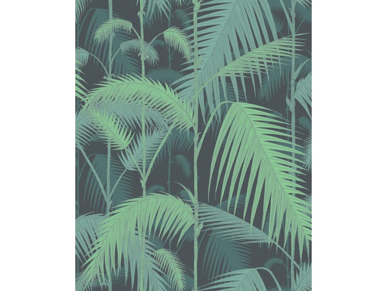 Cole & Son WP: Contemporary Restyled Palm Jungle 95/1003.CS.0 Green & Black