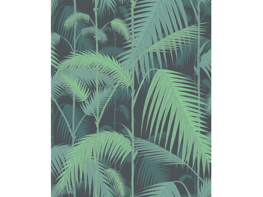 Cole & Son WP: Contemporary Restyled Palm Jungle 95/1003.CS.0 Green & Black