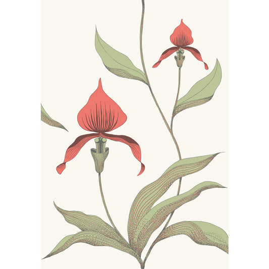 COLE & SON ORCHID RED/WHITE