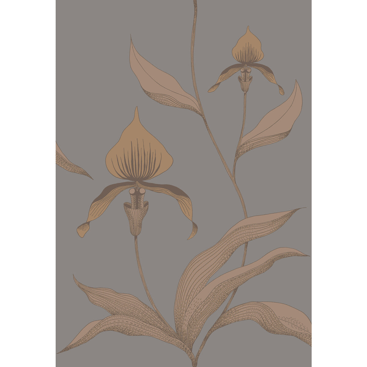 COLE & SON ORCHID BRONZE/SLATE