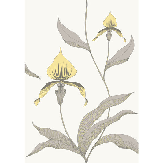 COLE & SON ORCHID YELLOW/WHITE