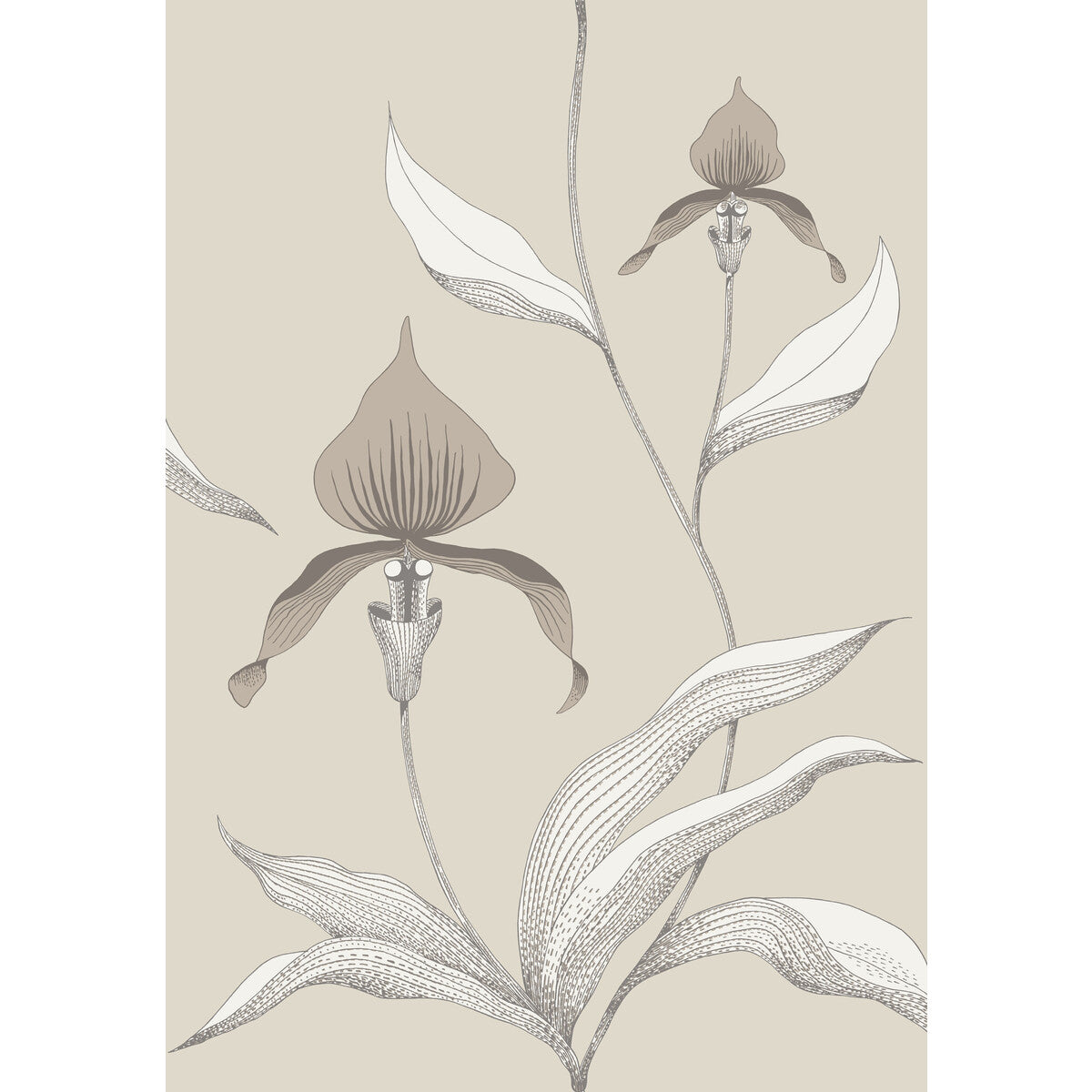 COLE & SON ORCHID LINEN/WHITE