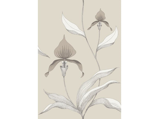 Cole & Son WP: Contemporary Restyled Orchid 95/10058.CS.0 Linen & White
