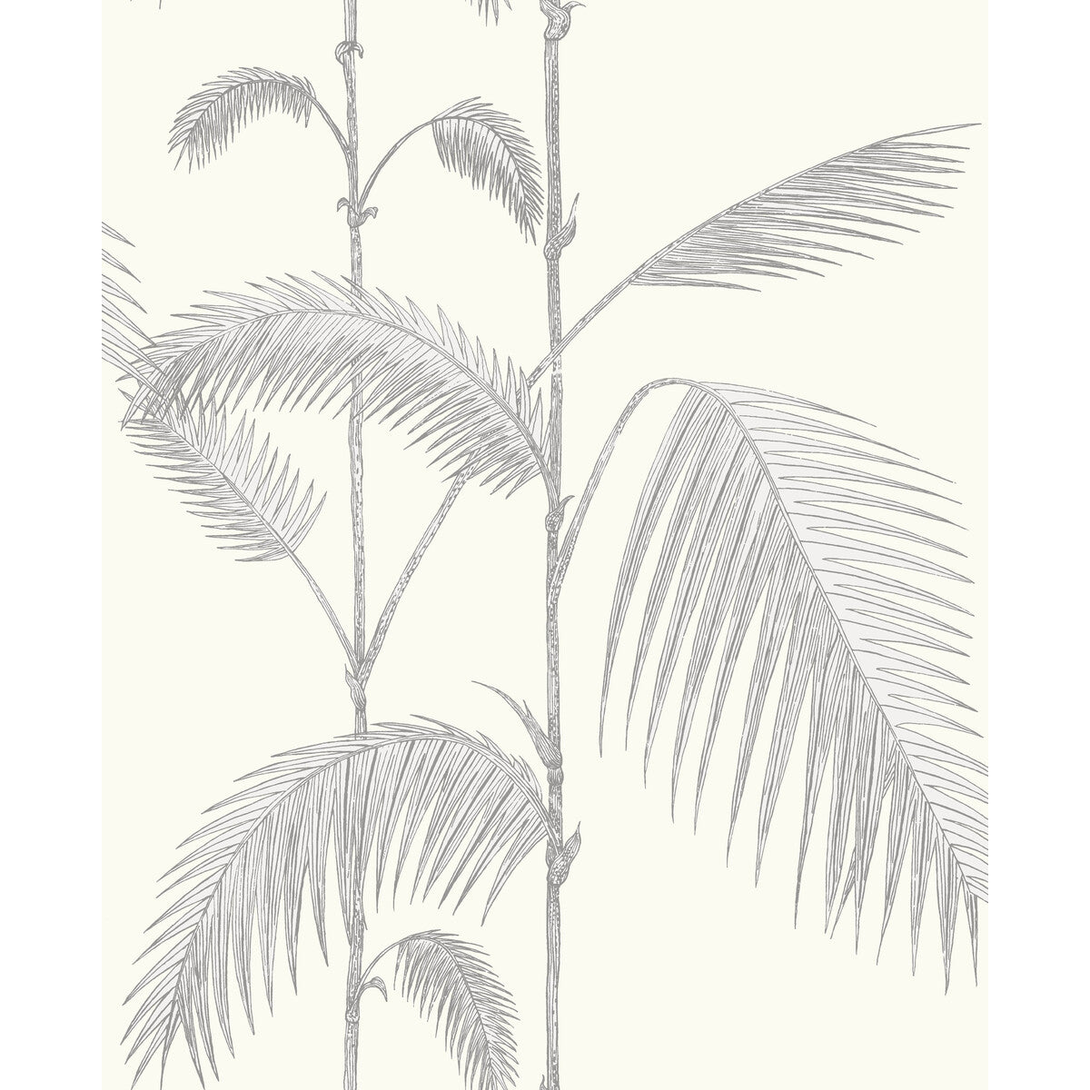 COLE & SON PALM LEAVES GREY/WHITE