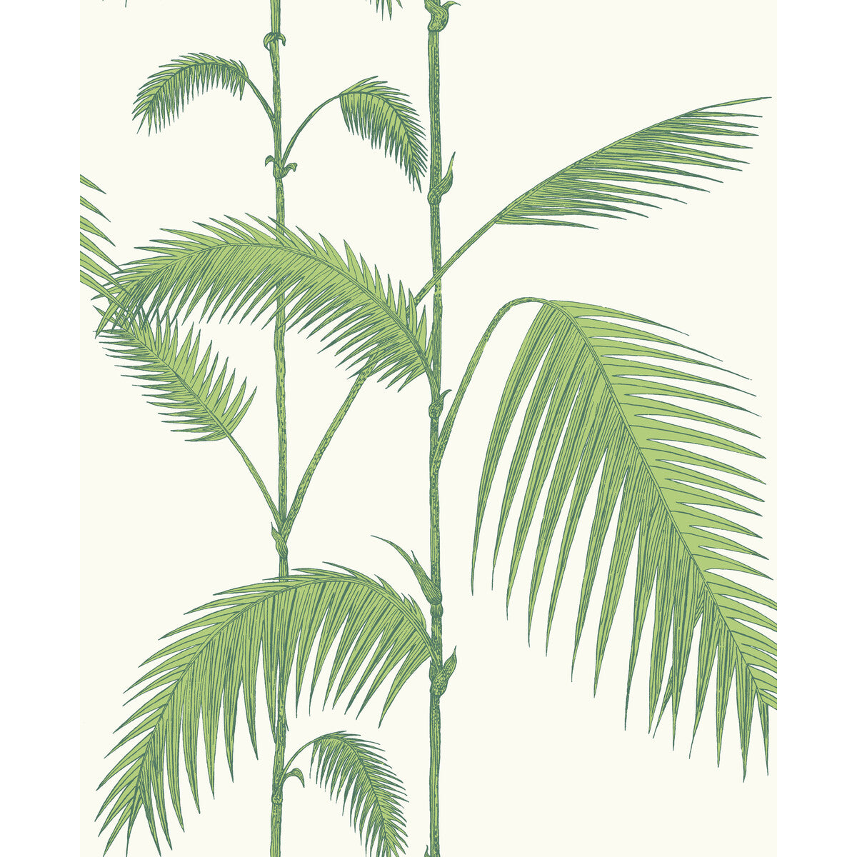 COLE & SON PALM LEAVES GREEN/WHITE