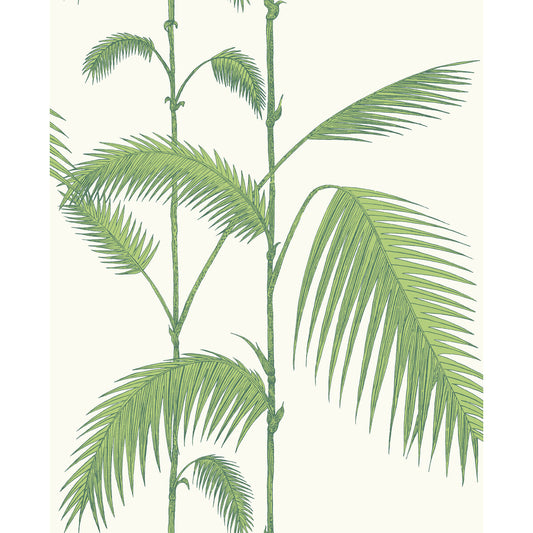 COLE & SON PALM LEAVES GREEN/WHITE