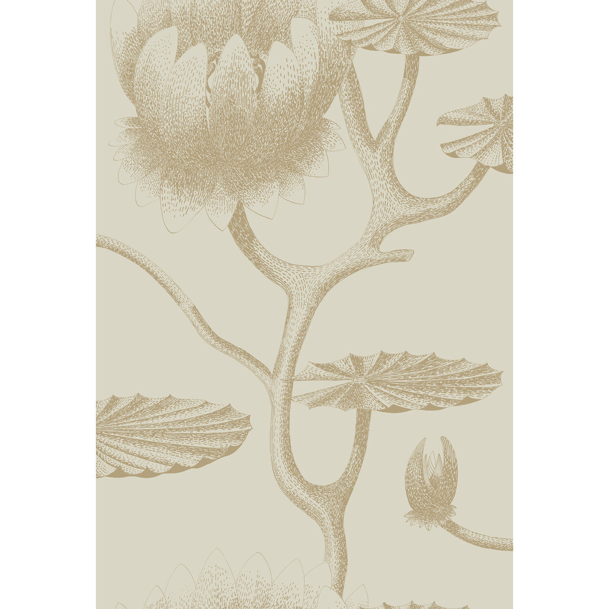 COLE & SON LILY LINEN/GOLD