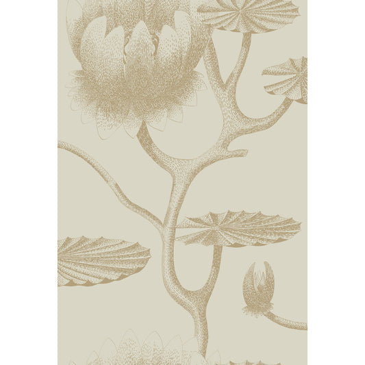 COLE & SON LILY LINEN/GOLD