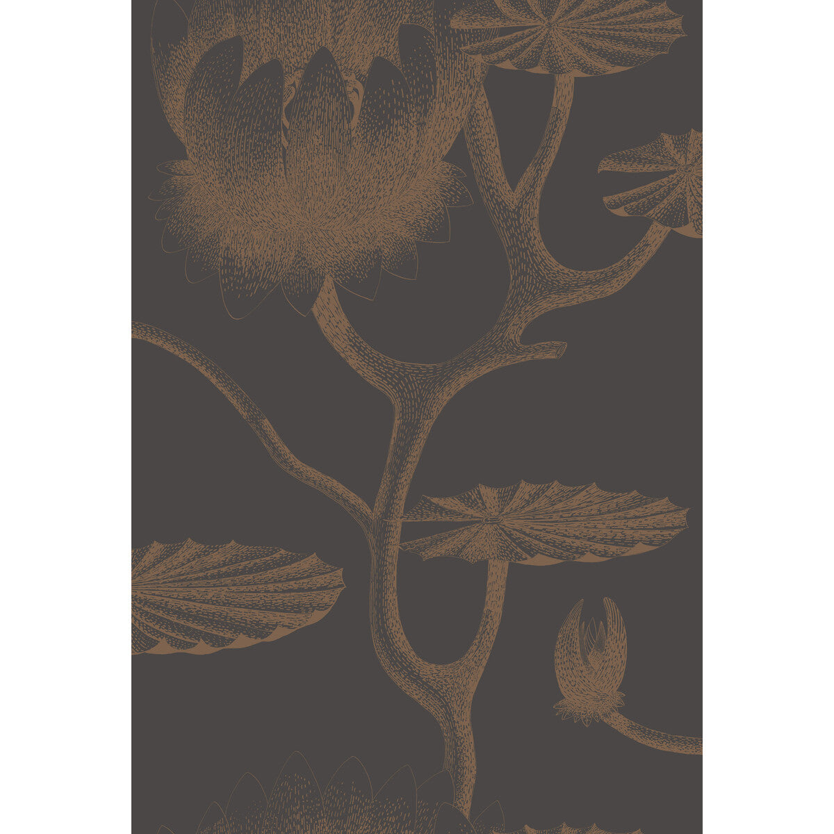 COLE & SON LILY BLACK/BRONZE