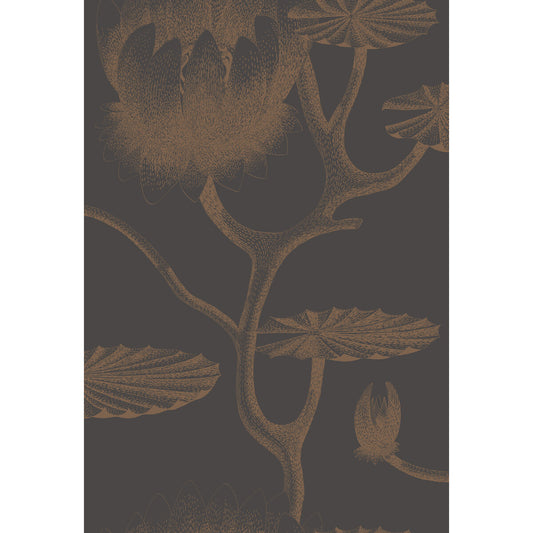 COLE & SON LILY BLACK/BRONZE
