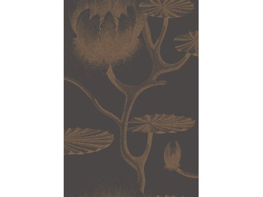 Cole & Son WP: Contemporary Restyled Lily 95/4021.CS.0 Black/Bronze