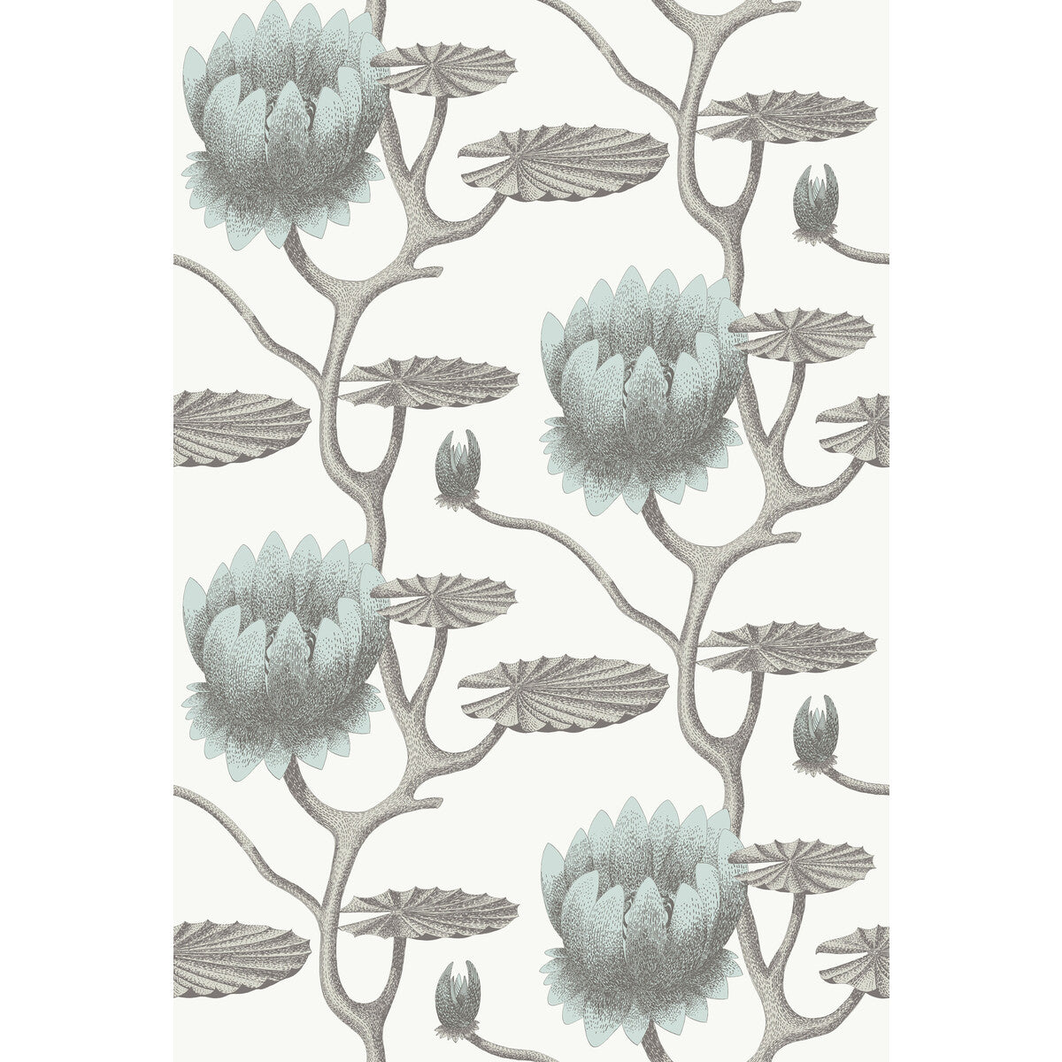 COLE & SON SUMMER LILY AQUA/WHITE