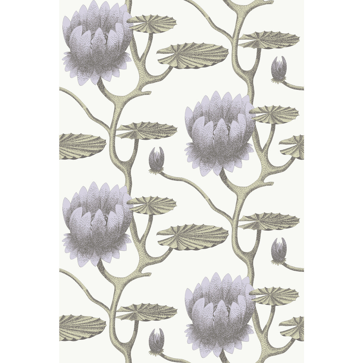 COLE & SON SUMMER LILY LILAC/GRN/WT