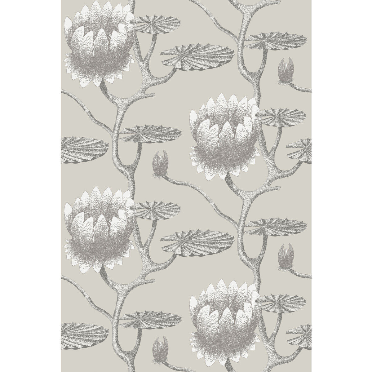COLE & SON SUMMER LILY TAUPE/WHITE