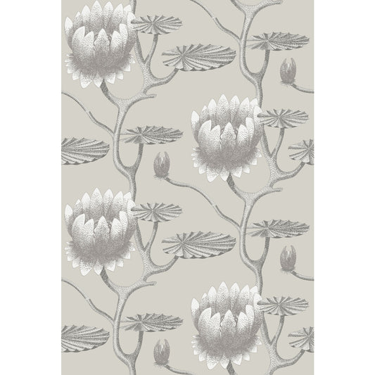 COLE & SON SUMMER LILY TAUPE/WHITE
